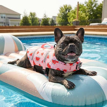 Load image into Gallery viewer, Doglay Dog Life Jacket, Dog Life Vest for Swimming Boating, Adjustable Puppy Life Jacket with Reflective Stripes, Superior Buoyancy Pet Swimming Vest for Small Medium and Large Dogs
