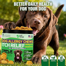 Load image into Gallery viewer, Vet Treat Dog Allergy Relief Chews - 170 Dog Allergy Chews - Itch Relief for Dogs - Anti Itch for Dogs - Dry &amp; Itchy Skin - Allergies &amp; Immune Support Supplement, Omega 3, Fish Oil, Colostrum - USA
