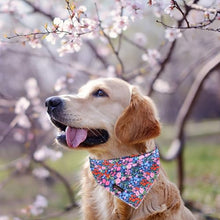 Load image into Gallery viewer, ARING PET Floral Dog Bandanas, Blue Pink Orange Flowers Pet Bandana Scarf Triangle Bibs for Puppy Small Medium Large Boy Girl Dogs Cats-S
