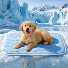 Load image into Gallery viewer, ZiTour Dog Cooling Mat, Chill Soothing Fabric to Rapid Cooling, Portable Washable Kennel Bed for Summer Active Dog (Blue, 41“x28)
