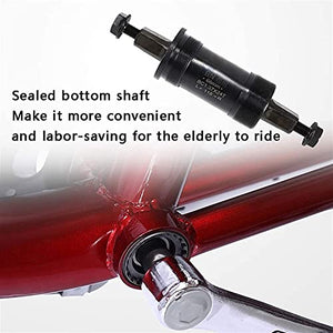Adult Tricycle - 3 Wheel Bikes for Adults Shopping 3 Wheel Bike Adult, Three Wheel Cruiser Bike 20 Inch Wheels