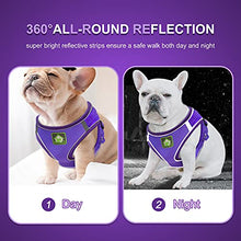 Load image into Gallery viewer, FEimaX Dog Harness and Leash Set, No-Pull Breathable Soft Mesh Puppy Vest Harness Reflective Adjustable Pet Harnesses for Small Medium Dogs and Cats - Outdoor Easy Control for Walking (L, Purple)
