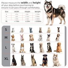 Load image into Gallery viewer, 3-Flap Never Rust Extra Large Dog Door for Wall with Sliding Lock Panel

