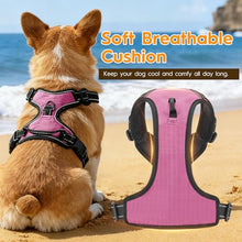 Load image into Gallery viewer, No Pull Dog Harness, No-Choke Soft Padded Reflective Dog Vest Harness with Front Clip &amp; Top Handle, 2 Quick-Release Buckles, Adjustable for Small Medium Large Dogs
