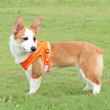 Load image into Gallery viewer, FEimaX Dog Harness and Leash Set for Walking, Soft Mesh Adjustable Easy Control Lightweight Cat Vest Harnesses with Reflective Strips, Escape Proof Small Dogs Cats Vests (Orange, Large)
