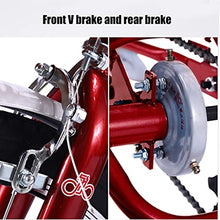 Load image into Gallery viewer, Three Wheel Bike, Adult Tricycle Adjustable Backrest Seat Trike Bike Bicycle 20inch Three Wheel Bike
