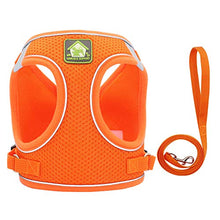 Load image into Gallery viewer, FEimaX Dog Harness and Leash Set, No Pull Breathable Soft Mesh Puppy Vest Harness Reflective Adjustable Pet Harnesses for Small Medium Dogs and Cats - Outdoor Easy Control for Walking
