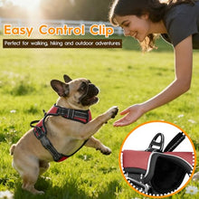 Load image into Gallery viewer, No Pull Dog Harness, No-Choke Soft Padded Reflective Dog Vest Harness with Front Clip &amp; Top Handle, 2 Quick-Release Buckles, Adjustable for Small Medium Large Dogs
