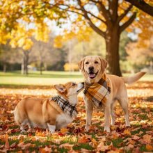 Load image into Gallery viewer, 2 Pack Thick Triangle Dog Bandanas with Tassels Edges, Reversible Plaid Dog Bandanas Boy Girl in Storage Box, Washable Soft Dog Scarf, Holiday Dog Bandana for Medium Large Dogs and Cats (Large)
