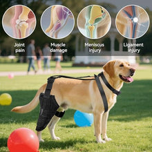 Load image into Gallery viewer, Dog Knee Brace for Back Leg, Adjustable Dog Leg Brace for Torn ACL Hind Leg Support, Joint Stability, Injury Recovery, Pain Relief, Dogs Rear Leg Wrap Harness Set with Collar and Leash
