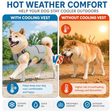 Load image into Gallery viewer, Dog Cooling Vest, Reflective Adjustable Cooling Harness, Ice Pack Pocket, Leash Ring Breathable Summer Vest Hot Weather Outdoor Walks (Grey, M)
