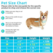 Load image into Gallery viewer, 3-Flap Steel Medium Dog Door for Door with Metal Sliding Lock Panel

