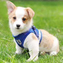 Load image into Gallery viewer, FEimaX Dog Harness and Leash Set for Walking, Soft Mesh Adjustable Easy Control Lightweight Cat Vest Harnesses with Reflective Strips, Escape Proof Small Dogs Cats Vests (Blue, X-Small)
