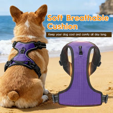 Load image into Gallery viewer, No Pull Dog Harness, No-Choke Soft Padded Reflective Dog Vest Harness with Front Clip &amp; Top Handle, 2 Quick-Release Buckles, Adjustable for Small Medium Large Dogs
