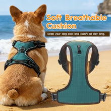 Load image into Gallery viewer, No Pull Dog Harness, No-Choke Soft Padded Reflective Dog Vest Harness with Front Clip &amp; Top Handle, 2 Quick-Release Buckles, Adjustable for Small Medium Large Dogs
