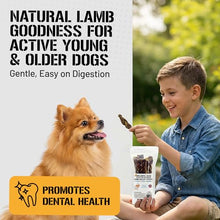 Load image into Gallery viewer, Dog Chits Lamb Esophagus Chews for Dogs &amp; Puppies - Natural Single Ingredient - High Protein, Low Fat Lamb Dog Treats - Long Lasting, Easy to Digest - Great for Joint, Dental Clean Crunch - 12in, 8pk
