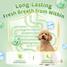 Load image into Gallery viewer, Dog Dental Powder, Teeth Cleaning Powder, Plaque &amp; Tartar Off
