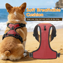 Load image into Gallery viewer, No Pull Dog Harness, No-Choke Soft Padded Reflective Dog Vest Harness with Front Clip &amp; Top Handle, 2 Quick-Release Buckles, Adjustable for Small Medium Large Dogs
