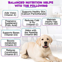 Load image into Gallery viewer, Dog Multivitamin Liquid Drops - 15 in 1 with Glucosamine, MSM &amp; Cranberry, Supports Joint, Skin &amp; Coat, Immune, Heart &amp; Urinary Health, 2 fl oz
