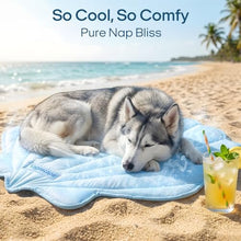 Load image into Gallery viewer, Vagascape Dog Cooling Mat, Washable Pet Cooling Mat, 47" x 45" Thick &amp; Durable Large Cooling Mat for Dogs, Portable Foldable Premium Cooling Pad for Indoor, Outdoor, Travel, Camping, Patio and Beach
