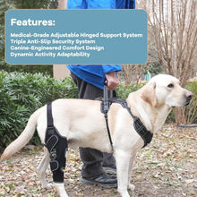 Load image into Gallery viewer, FurWell Dog Knee Brace with Adjustable Support – ACL &amp; CCL Tear Recovery, Post-Surgery Stabilization, Mobility Aid for Rear Legs – Includes Secure Chest Harness for Dogs(Both Legs,M)
