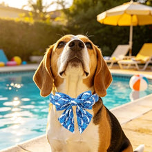 Load image into Gallery viewer, ARING PET Summer Dog Collar with Bow, Cute Blue Ocean White Whale Sailor Bowtie Pet Collars with Metal Buckle for Puppy Small Medium Large Boy Girl Dogs, for Daily Walks, Travel, Photo, Parties-L
