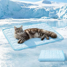 Load image into Gallery viewer, Mora Pets Dog Cooling Mat Pet Cooling Pad for Dogs &amp; Cats Q-Max>0.5, Breathable Washable Self Cool Dog Mat for Indoor Floors, Crate, Sofa &amp; Outdoor Use, Non Gel Summer Ice Silk Cold Pad Small 28x22
