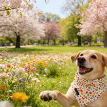 Load image into Gallery viewer, ARING PET Spring Summer Dog Bandanas, Cute Insects Bee Ant Snail Pet Bandana Scarf Triangle Bibs for Puppy Small Medium Large Boy Girl Dogs Cats-S

