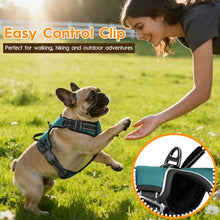 Load image into Gallery viewer, No Pull Dog Harness, No-Choke Soft Padded Reflective Dog Vest Harness with Front Clip &amp; Top Handle, 2 Quick-Release Buckles, Adjustable for Small Medium Large Dogs
