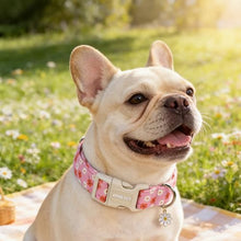 Load image into Gallery viewer, ARING PET Girl Dog Collar, Cute Spring Summer Pink Daisy Floral Pet Collars for Puppy Small Medium Large Female Girly Dogs-XS, for Daily Outdoor Walking Training
