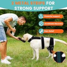 Load image into Gallery viewer, Snagle Paw Dog Knee Braces for Back Legs, ACL/CCL Support, L
