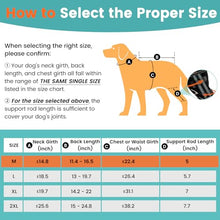 Load image into Gallery viewer, Snagle Paw Dog Knee Braces for Back Legs, ACL/CCL Support, M
