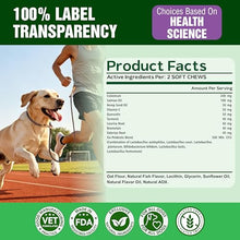 Load image into Gallery viewer, VET TREAT Dog Allergy Relief Chews - 120 Dog Allergy Chews - Itch Relief for Dogs - Anti Itch for Dogs - Dry &amp; Itchy Skin - Allergies &amp; Immune Support Supplement, Omega 3 Fish Oil, Probiotics - USA

