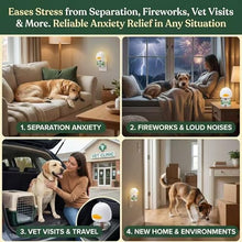 Load image into Gallery viewer, 8-in-1 Calming Diffuser for Dog – Pheromone-Based Dog Anxiety Relief, 2 Plug-Ins &amp; 6 Refills for 180-Day Stress Support – Helps Promote Calm Behavior, Safe &amp; Non-Toxic, Anxiety Relief for Dogs
