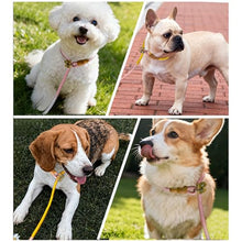 Load image into Gallery viewer, FOVRLZSE 2-Pack Adjustable No-Pull Dog Leash Set, Macaron Color
