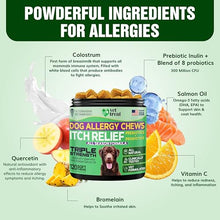 Load image into Gallery viewer, VET TREAT Dog Allergy Relief Chews - 120 Dog Allergy Chews - Itch Relief for Dogs - Anti Itch for Dogs - Dry &amp; Itchy Skin - Allergies &amp; Immune Support Supplement, Omega 3 Fish Oil, Probiotics - USA
