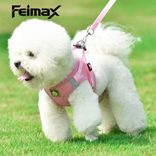 Load image into Gallery viewer, FEimaX Dog Harness and Leash Set, No Pull Breathable Soft Mesh Puppy Vest Harness Reflective Adjustable Pet Harnesses for Small Medium Dogs and Cats - Outdoor Easy Control for Walking
