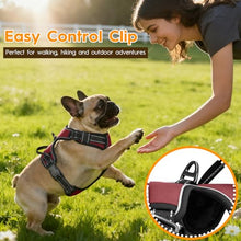 Load image into Gallery viewer, No Pull Dog Harness, No-Choke Soft Padded Reflective Dog Vest Harness with Front Clip &amp; Top Handle, 2 Quick-Release Buckles, Adjustable for Small Medium Large Dogs
