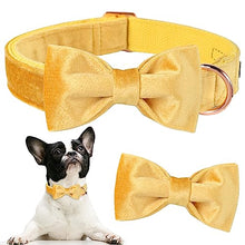 Load image into Gallery viewer, ARING PET Bowtie Dog Collar-Velvet Dog Collars with Detachable Bowtie, Adorable&amp;Soft Yellow Dog Collar.

