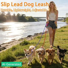 Load image into Gallery viewer, FOVRLZSE 11-Pack Dog Leashes, 4.6FT, 10mm Braided Nylon, 11 Assorted Colors

