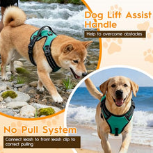 Load image into Gallery viewer, No Pull Dog Harness, No-Choke Soft Padded Reflective Dog Vest Harness with Front Clip &amp; Top Handle, 2 Quick-Release Buckles, Adjustable for Small Medium Large Dogs
