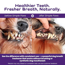 Load image into Gallery viewer, Dog Dental Powder for Teeth Cleaning - Dental Powder for Dogs Teeth – Prevent Dog Bad Breath with Probiotics for Fresh Breath &amp; Oral Health – Chicken Flavored, 60 Scoop Supply
