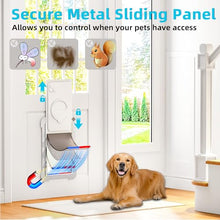 Load image into Gallery viewer, MIAOTONG 3-Flap Steel Large Dog Door for Door with Metal Sliding Lock Panel
