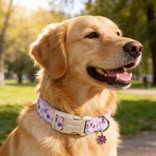 Load image into Gallery viewer, ARING PET Girl Dog Collar, Cute Spring Summer Purple Rose Floral Bow Pet Collars for Puppy Small Medium Large Female Dogs-L, for Daily Outdoor Walking Training
