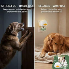 Load image into Gallery viewer, 4-Pack Dog Calming Diffuser Kit (1 Diffuser + 3 Refills), Plug-in Pheromone Calming Diffuser for Dog, 90-Day Supply, Covers 700 sq ft, Safe &amp; Odorless Stress Relief Solution, Promotes Relaxed Behavior
