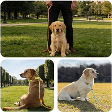 Load image into Gallery viewer, FOVRLZSE 3-Pack Macaron Nylon Dog Leashes, 5.2FT for Small Medium Dogs
