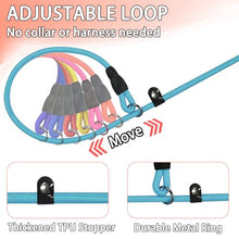 Load image into Gallery viewer, FOVRLZSE 18 Pack Bulk Nylon Dog Slip Leashes,9 Mixed Colors 4.6FT/1.4M
