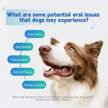 Load image into Gallery viewer, Dr.vet Dog Dental Chews, Dog Dental Sticks for Plaque and Tartar Remover for Dogs, Dog Breath Freshener and Teeth Cleaning Treats, Rawhide Free Dog Chews for Small Breed Dog Treats, 100g (7 Sticks)
