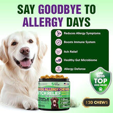 Load image into Gallery viewer, VET TREAT Dog Allergy Relief Chews - 120 Dog Allergy Chews - Itch Relief for Dogs - Anti Itch for Dogs - Dry &amp; Itchy Skin - Allergies &amp; Immune Support Supplement, Omega 3 Fish Oil, Probiotics - USA
