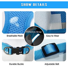 Load image into Gallery viewer, FEimaX Dog Harness and Leash Set for Walking, Soft Mesh Adjustable Easy Control Lightweight Cat Vest Harnesses with Reflective Strips, Escape Proof Small Dogs Cats Vests (Azure, Medium)
